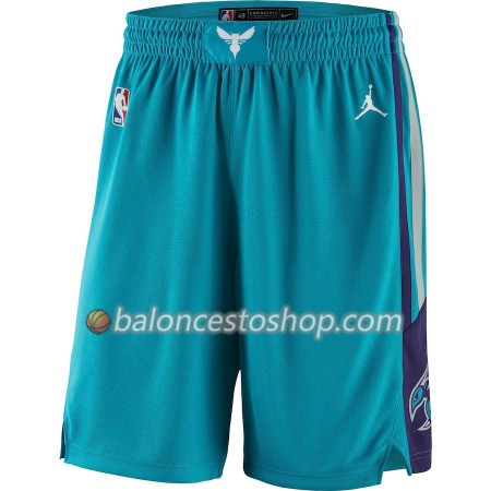 Charlotte Hornets Hombre Pantalones Azul 2018-19 Jordan Brand Swingman